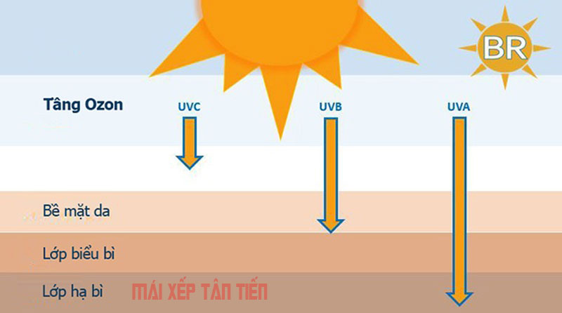 Tác hại của tia UV đối với sức khỏe